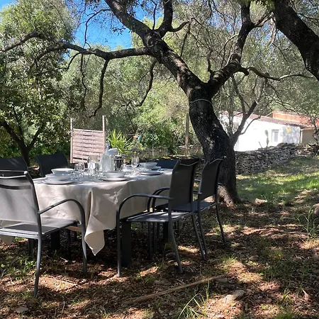Holiday home Mini Rose Saint-Florent (Corsica)