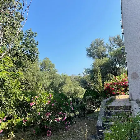 Holiday home Mini Rose Saint-Florent (Corsica)