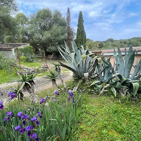 Holiday home Mini Rose Saint-Florent (Corsica)