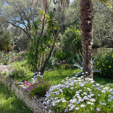 Mini Rose Holiday home Saint-Florent (Corsica)