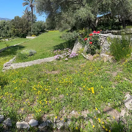 Mini Rose Holiday home Saint-Florent (Corsica)